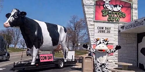 Cow Day 2026