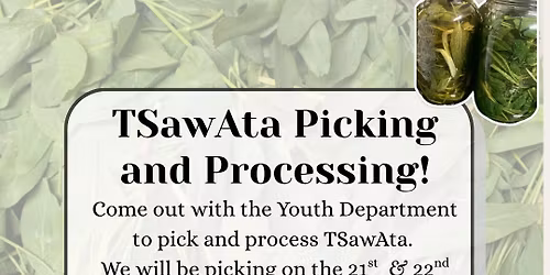 TSawAta Picking and Processing