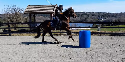 Working Equitation - \u00c5pen trening