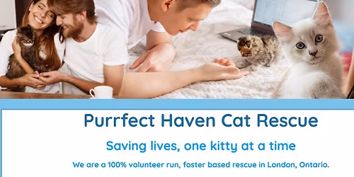 Purrfect Haven Cat Rescue