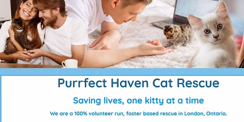 Purrfect Haven Cat Rescue