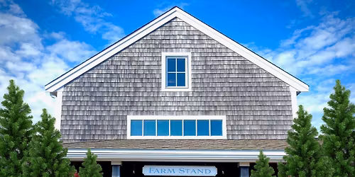Christmas Trees at the Chatham Bars Inn Farm