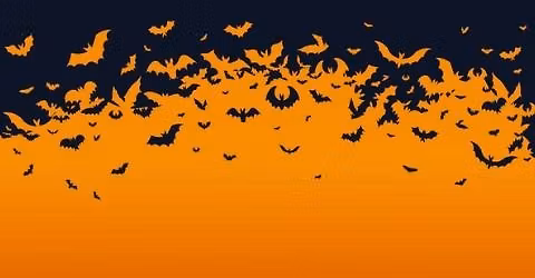 Halloween Wreath Making Workshop
