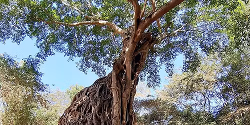 \u179f\u17b7\u1780\u17d2\u1781\u17b6\u179f\u17b6\u179b\u17b6