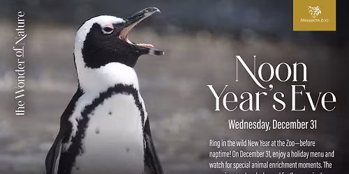 \u2728Noon Year's Eve at the Zoo\u2728