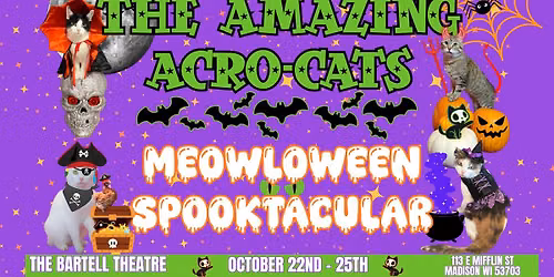 The Amazing Acro-Cats' Meowloween Spooktacular- Madison