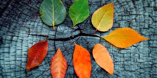 Autumn Equinox Restorative - Nidra Yoga: Rest & Restore