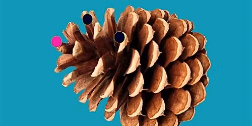 Stitch & Glitch | Daphne Oram Heritage Centenary Project