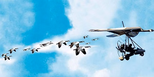 FLY AWAY HOME (30TH ANNIVERSARY SCREENING)