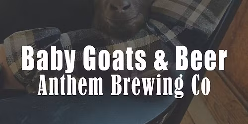 Baby Goats & Beer - Anthem Brewing Co.