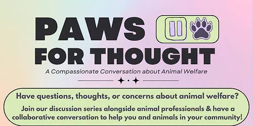 Paws for Thought: Curiosities of Cat Behavior
