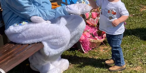 Bunny Palooza with Baby Animals & Fun Activities