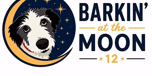 Barkin' At The Moon 12