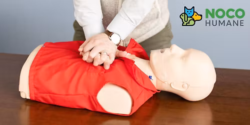 CPR & First Aid Certification Course