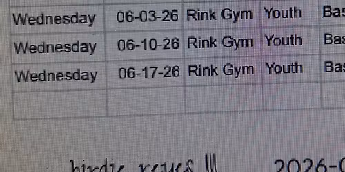 Bayonne basketball training 