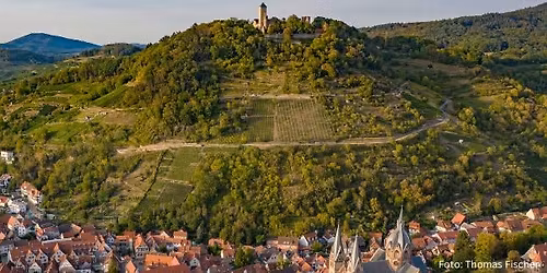  Heppenheimer Flohmarkt unter den Platanen