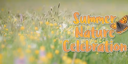 Summer nature celebration