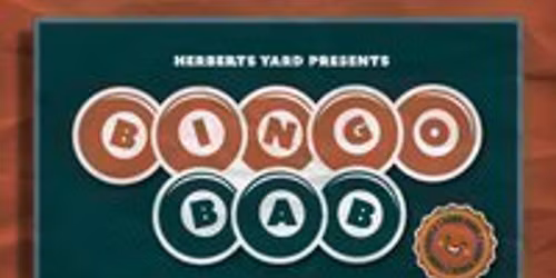 Bingo Bab - A Charity Bingo Night with Barbara Nice