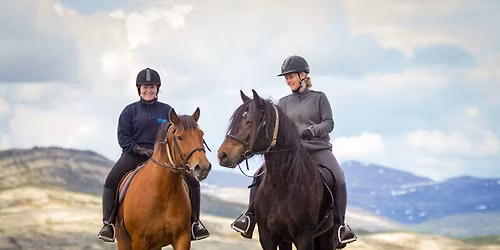 Gutsy Girls | Horse Riding and Yoga Holiday in Norway - great for beginners