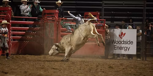 YMBL CHUTE-OUT Bull Ride