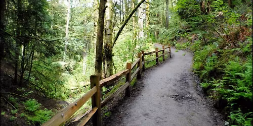 Advance Hikers' Hike: Entire Wildwood Trail