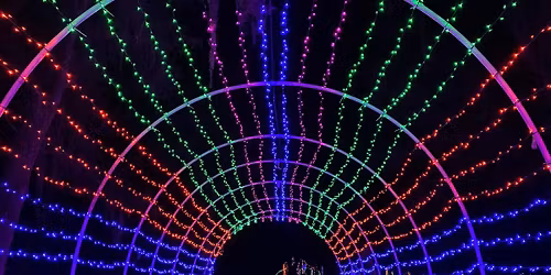 Christmas Lights at Camp Rock