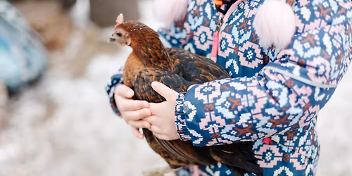 Preschool Information Session