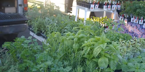 First Market of the 2026 Season