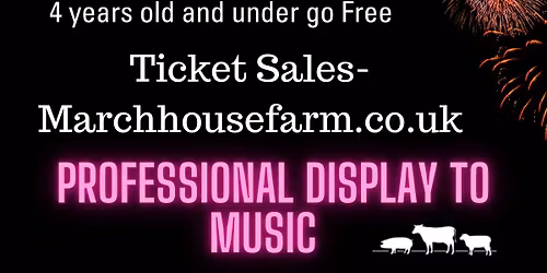 Bonfire & Fireworks Night