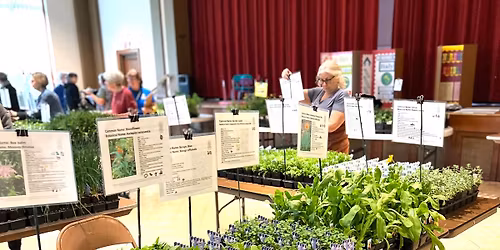 Webster Groves Herb Society Herb Sale 