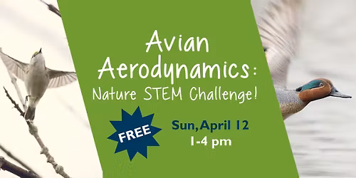 Avian Aerodynamics: Nature STEM Challenge!