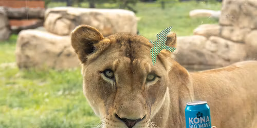 Oktoberfest Adult Night at the Zoo