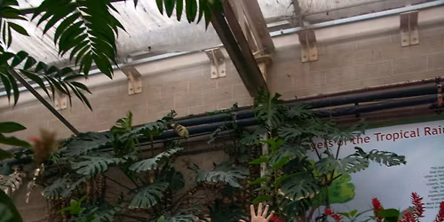 Immersive Sound Flow Yoga