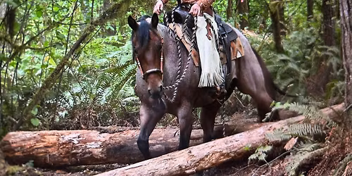 2026 Cowgirl Crew Trail Event # 1  Trail and Ranch Classes 