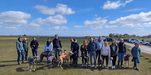 Gloucestershire Sighthound Social Walk 