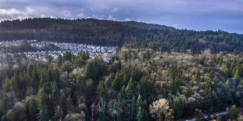 Forest Carbon Hike: Harvey Manning Park