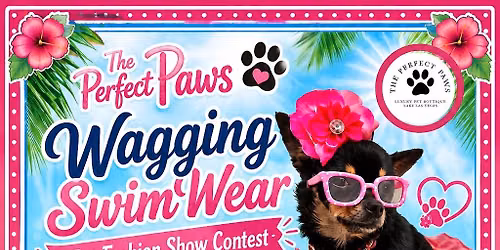 Wagging Swim\u2019Wear Pet Fashion Show! $100.00 Cash Prize \ud83d\udc36\ud83c\udfdd\ufe0f