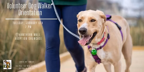 Volunteer Dog Walker Orientation