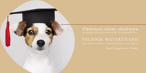 Mi\u0119dzyszkolny Konkurs Fotograficzny \u201eZwierz\u0119ta okiem obiektywu\u201d