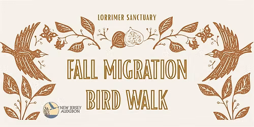 Fall Migration Bird Walk
