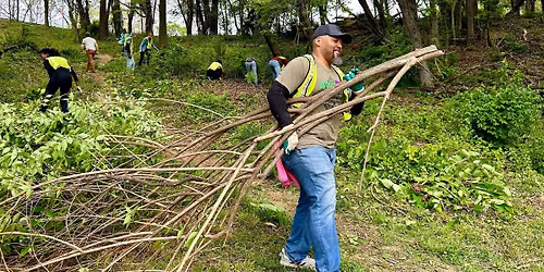 Invasive Plant Removal at Hellbender Hill
