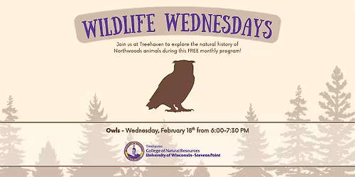 Wildlife Wednesday at Treehaven: Owls