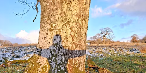 Nature Journaling & Wellbeing Wednesday Workshops | Gweithdai Dydd Mercher Siwrnali Natur a Llesiant