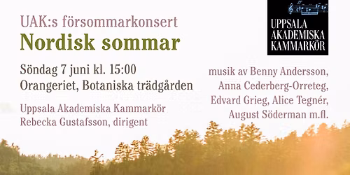 Nordisk Sommar