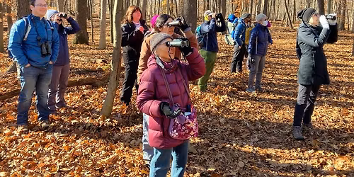 Beginning Birders Series