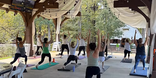 Post-Feast Flow: Community Yoga at the Pavilion