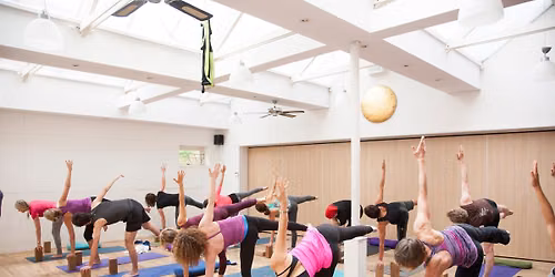 Vinyasa Teacher Training 200 Hour | Thursday program