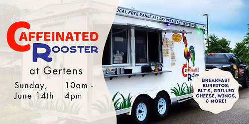 Caffeinated Rooster at Gertens!
