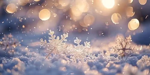 Ps\u00fc\u00fchika j\u00f5ulufunktsioon 2025