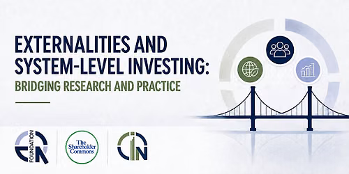 Externalities and System-Level Investing: Bridging Research and Practice